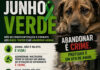 Câmara de Vereadores e ONGs promovem campanha e intensificam conscientização sobre políticas públicas e combate ao abandono e maus-tratos de animais