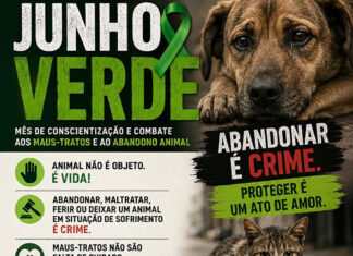 Câmara de Vereadores e ONGs promovem campanha e intensificam conscientização sobre políticas públicas e combate ao abandono e maus-tratos de animais