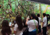 Saída pedagógica leva alunos ao mundo da natureza e do conhecimento