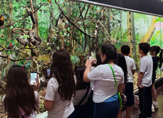 Saída pedagógica leva alunos ao mundo da natureza e do conhecimento