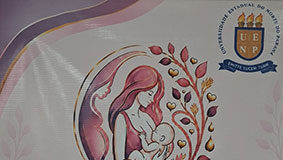 Profissionais e acadêmicos participam de evento voltado à saúde materna, neonatal e infantil