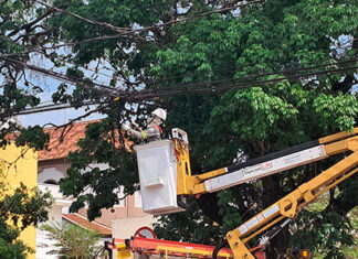 Força-tarefa retira mais de 700 kg de sucata de fiação telefônica em Cornélio e Santo Antônio da Platina