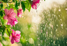 El Niño deve intensificar chuvas e elevar temperaturas durante a primavera no Paraná