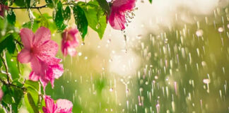 El Niño deve intensificar chuvas e elevar temperaturas durante a primavera no Paraná