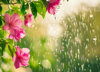 El Niño deve intensificar chuvas e elevar temperaturas durante a primavera no Paraná