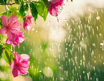El Niño deve intensificar chuvas e elevar temperaturas durante a primavera no Paraná