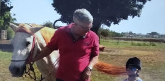 Equoterapia transforma vidas no Norte Pioneiro ao aliar ciência, afeto e inclusão social