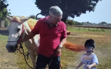 Equoterapia transforma vidas no Norte Pioneiro ao aliar ciência, afeto e inclusão social