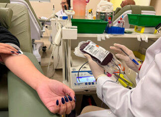 Hemepar reforça necessidade de doações de sangue em todo o Estado