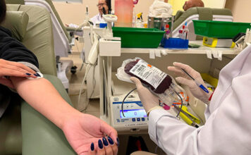 Hemepar reforça necessidade de doações de sangue em todo o Estado