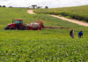Produtores de quatro regiões do Paraná já podem iniciar o plantio de soja