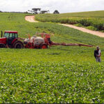 Produtores de quatro regiões do Paraná já podem iniciar o plantio de soja