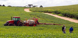 Produtores de quatro regiões do Paraná já podem iniciar o plantio de soja