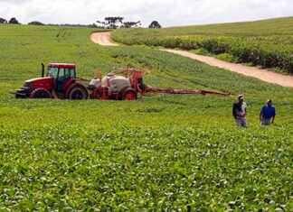 Produtores de quatro regiões do Paraná já podem iniciar o plantio de soja