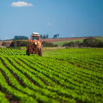 Produtores rurais devem começar a realizar declaração do ITR 2026