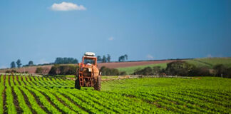 Produtores rurais devem começar a realizar declaração do ITR 2026