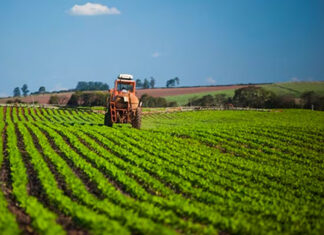 Produtores rurais devem começar a realizar declaração do ITR 2026