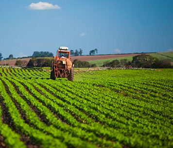 Produtores rurais devem começar a realizar declaração do ITR 2026