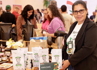 Agro do Norte Pioneiro celebra desenvolvimento territorial, projeta mercado e lança feiras em Jacarezinho