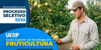 UENP abre inscrições para a 3ª turma do Curso Superior de Tecnologia em Fruticultura
