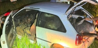 Polícia flagra bois furtados sendo transportados dentro de carro no interior de São Paulo