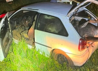Polícia flagra bois furtados sendo transportados dentro de carro no interior de São Paulo