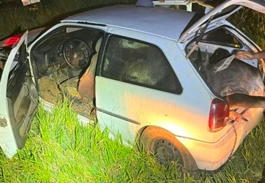 Polícia flagra bois furtados sendo transportados dentro de carro no interior de São Paulo