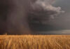 Estratégias do Paraná para enfrentar os desafios do El Niño