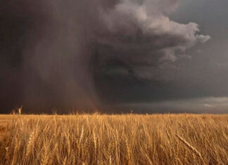 Estratégias do Paraná para enfrentar os desafios do El Niño