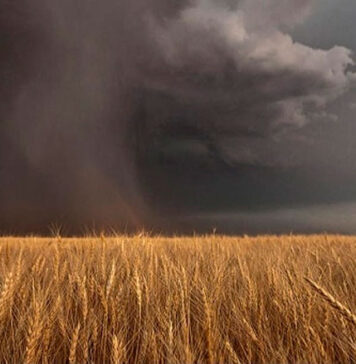 Estratégias do Paraná para enfrentar os desafios do El Niño